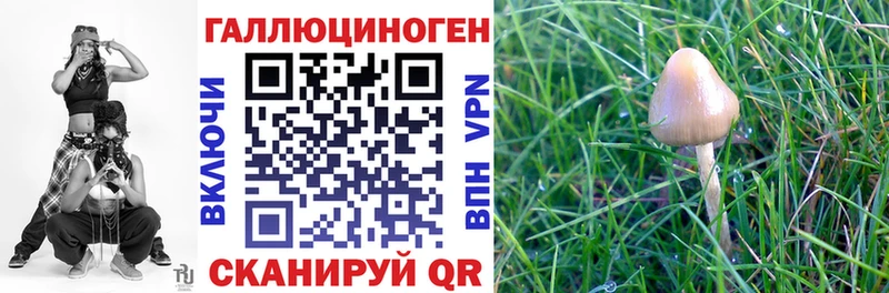 Купить закладки  Ступино  Псилоцибиновые грибы MAGIC MUSHROOMS 